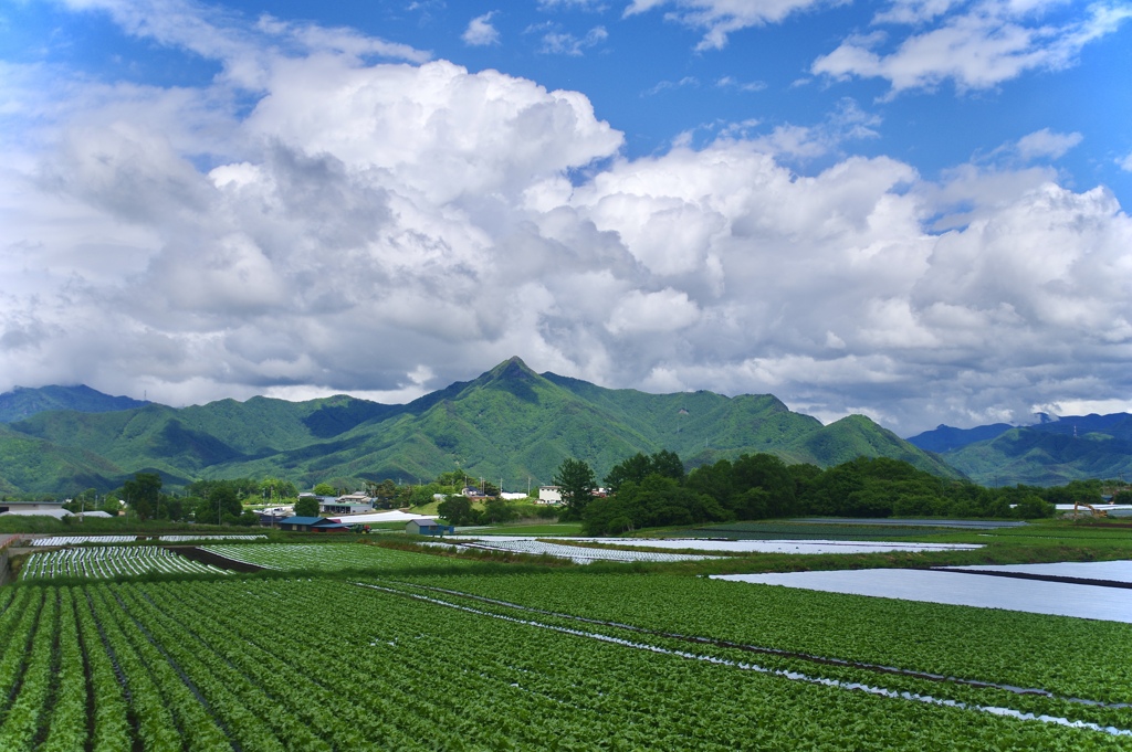 野辺山