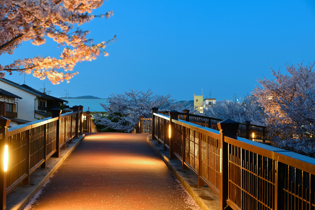 SceneⅡ