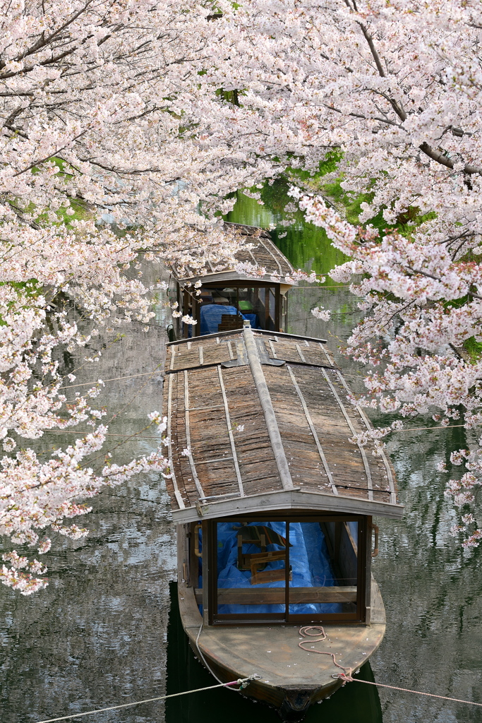 包まれて