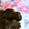 睨