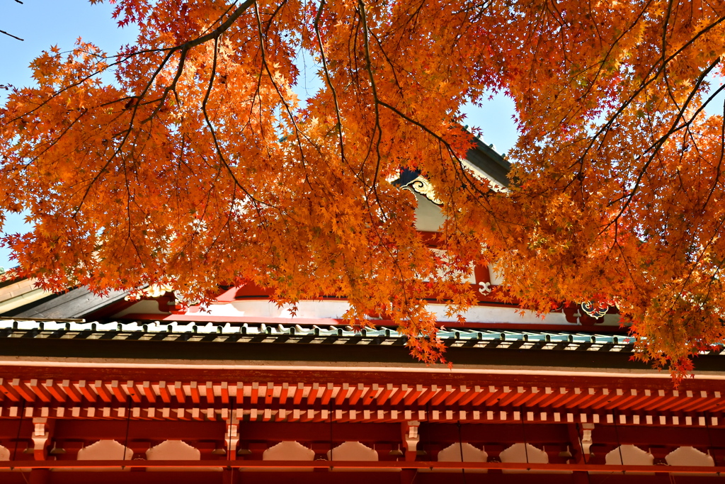 延暦寺 大講堂