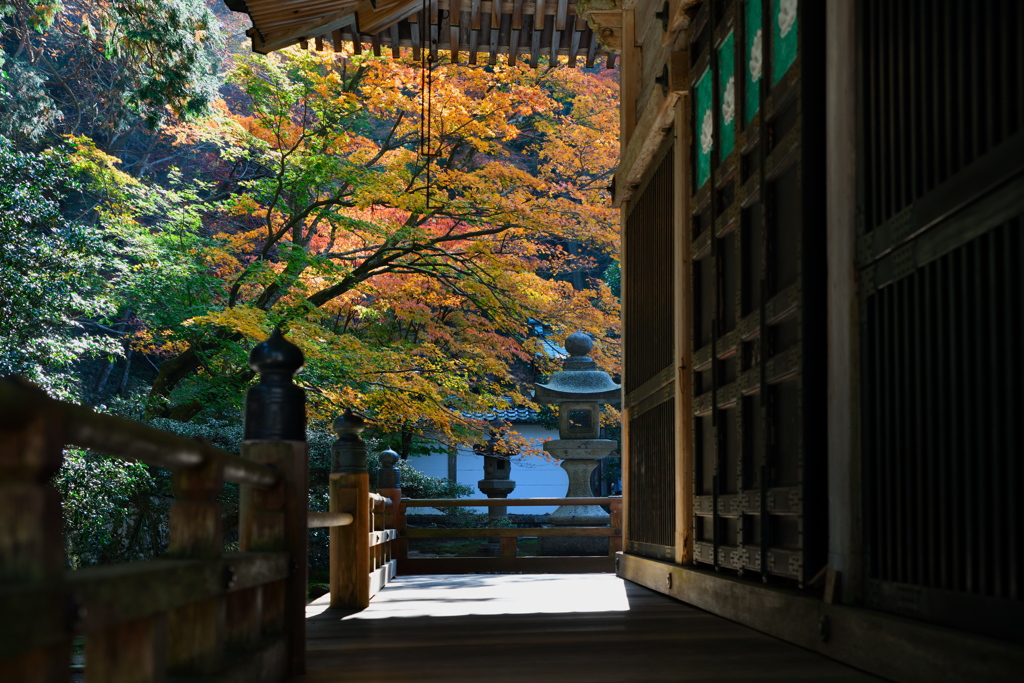 延暦寺 浄土院