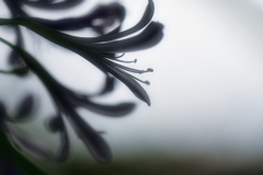 Quietness