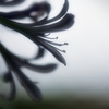 Quietness