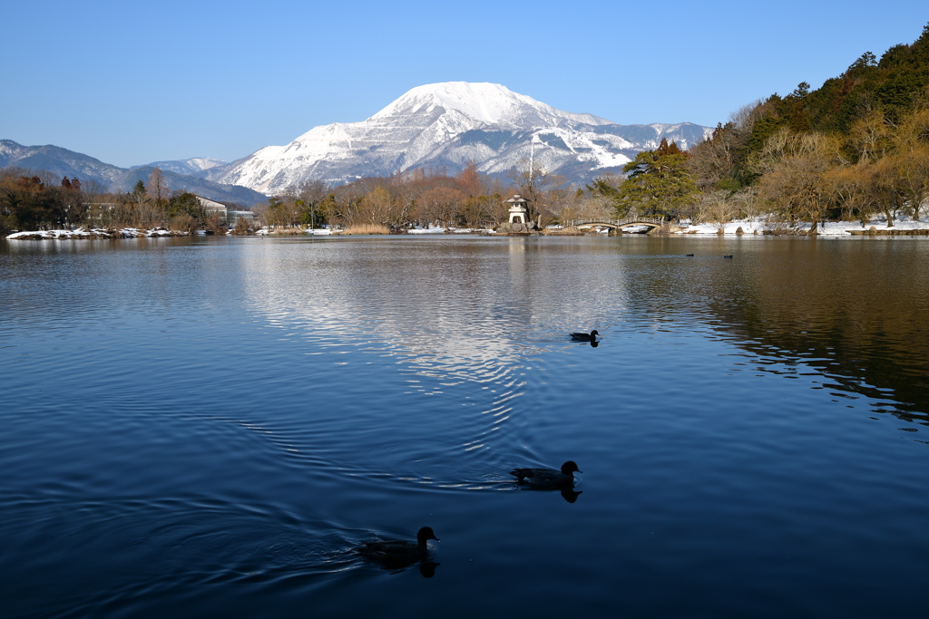 Winter Mishima Pond