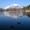Winter Mishima Pond