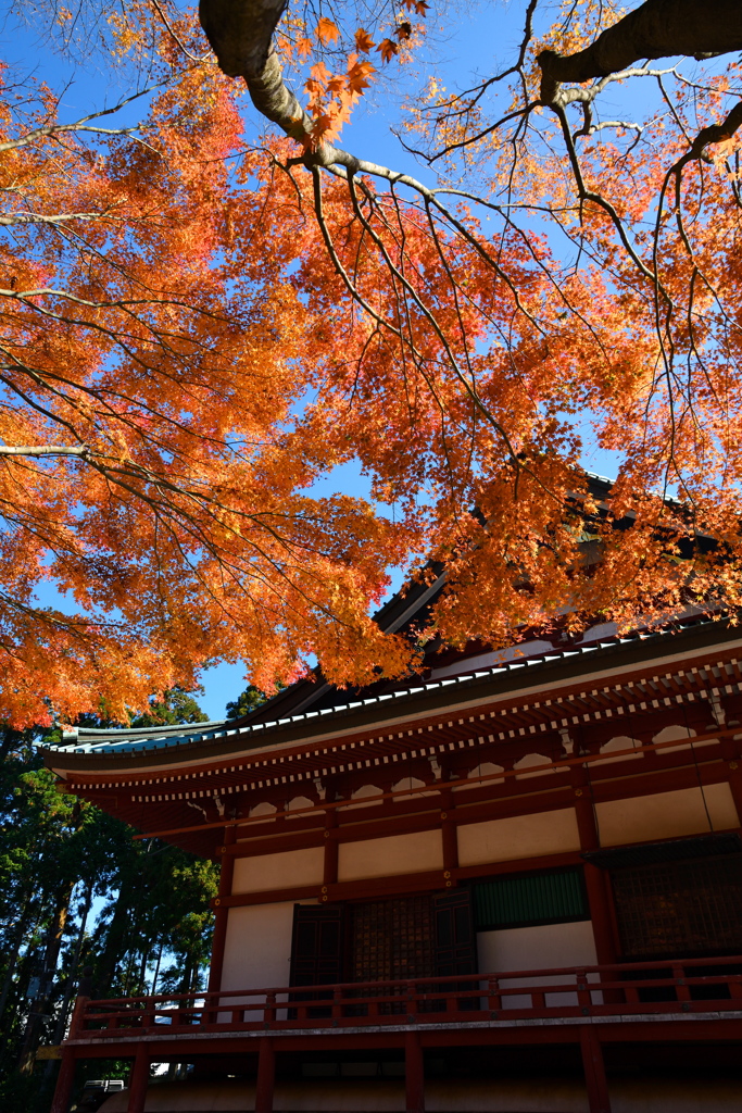 延暦寺 大講堂