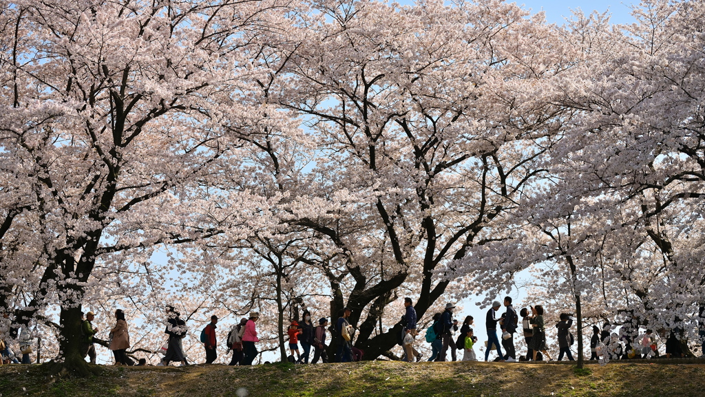 同じ思い