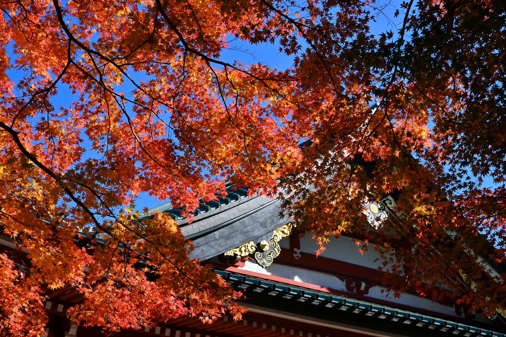 延暦寺 大講堂