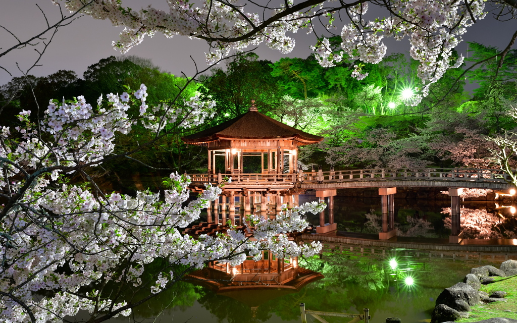 夜桜-浮御堂