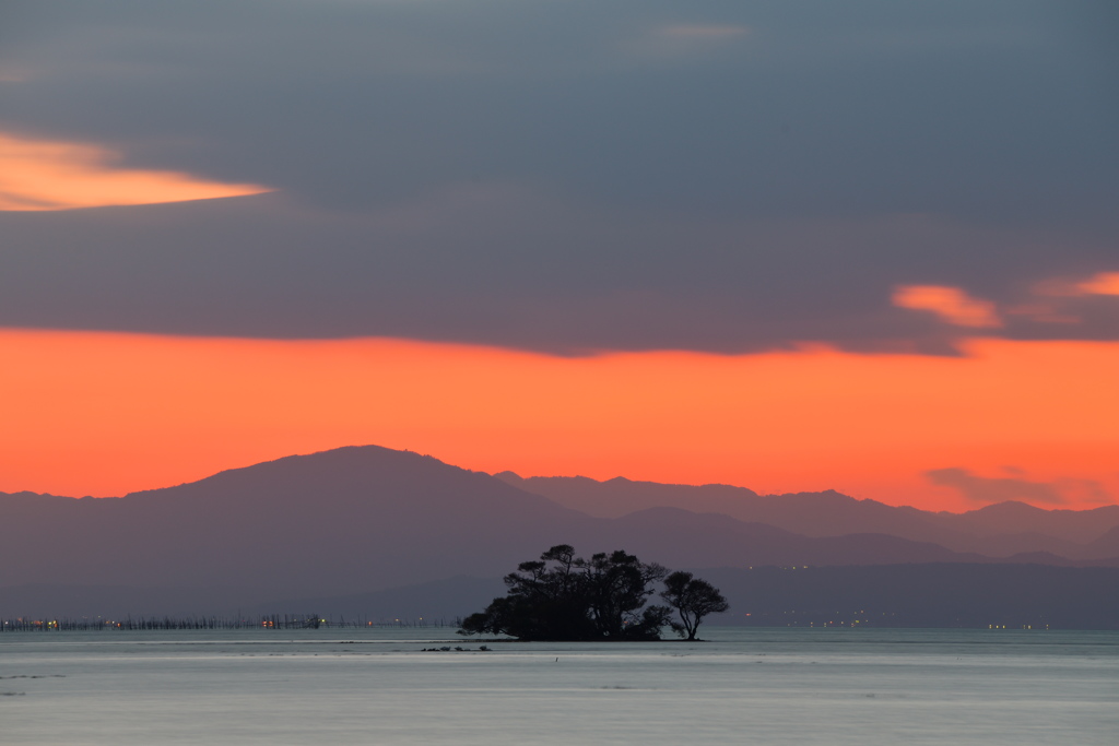 水中木と夕ぐれ