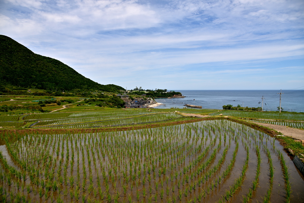 棚田のある町並み