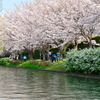 花の径