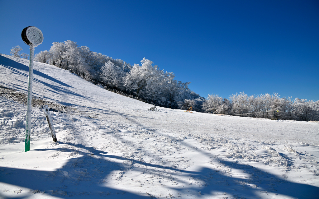 White time