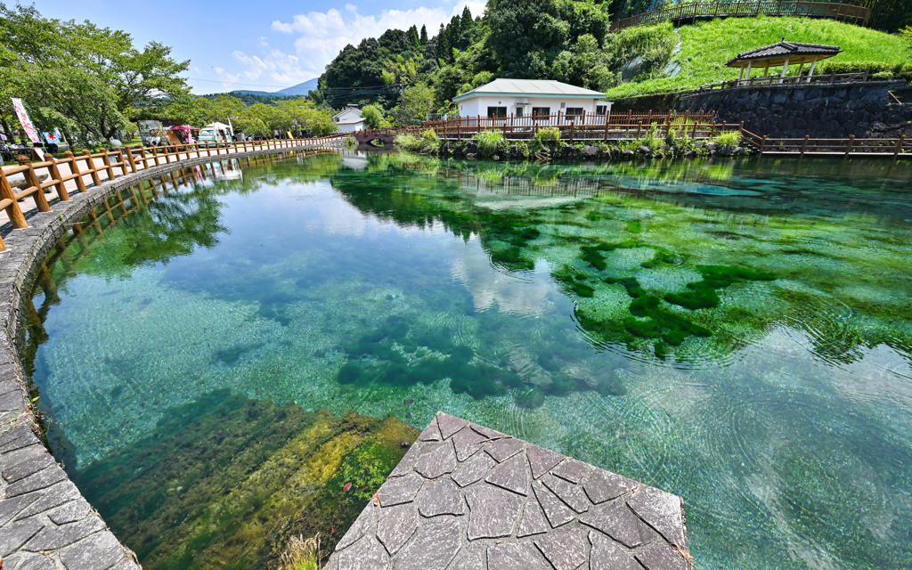 丸池湧水