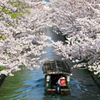 花トンネル