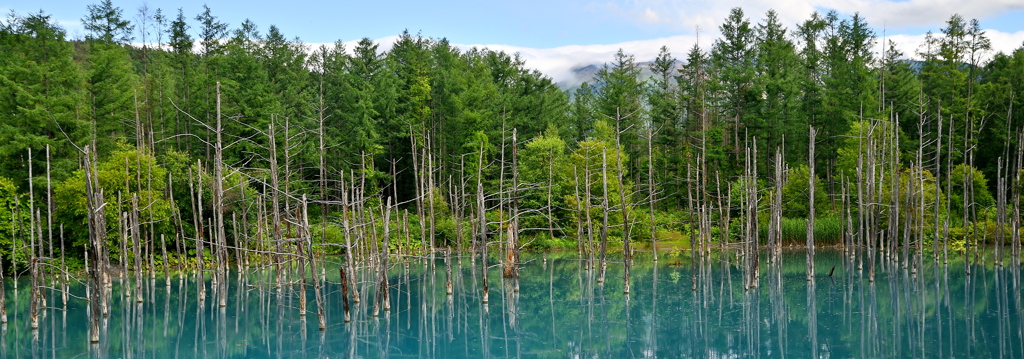 Blue panorama