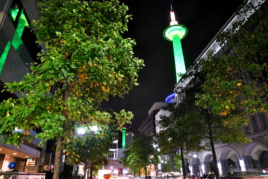 GreenTowerが見える日