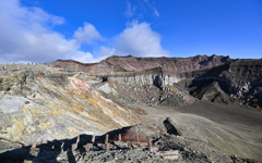 アグルチネート