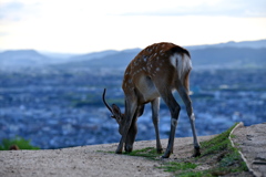 絶景より･･･