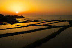 Ocean view _棚田の夕暮れ