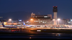 宵闇の空港