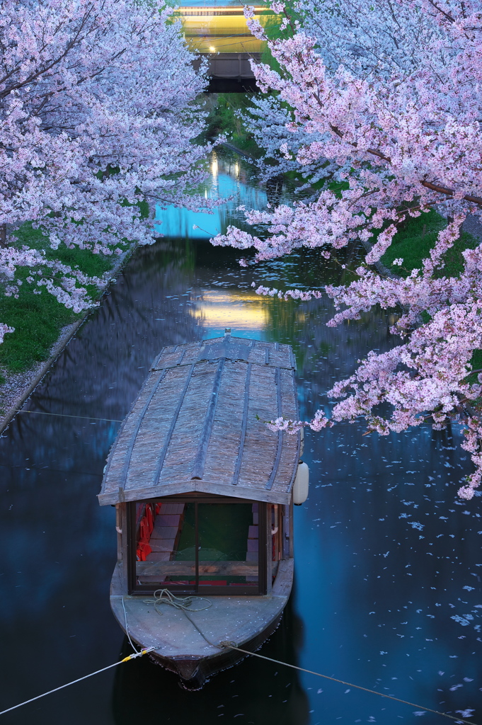 宵待舟