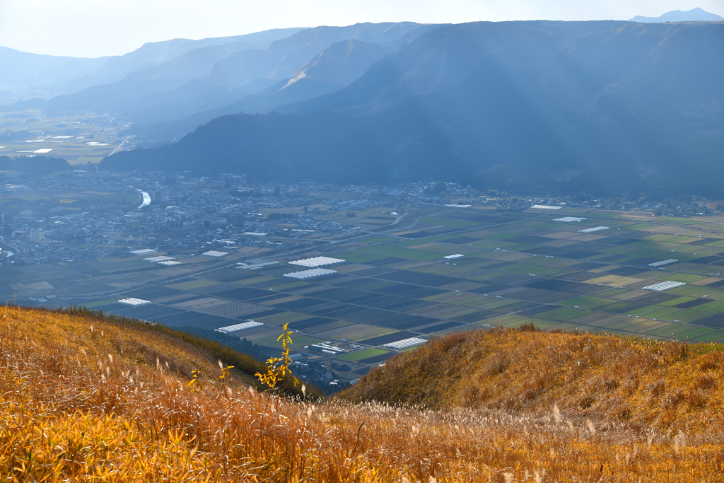 田園