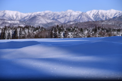 キラキラの朝