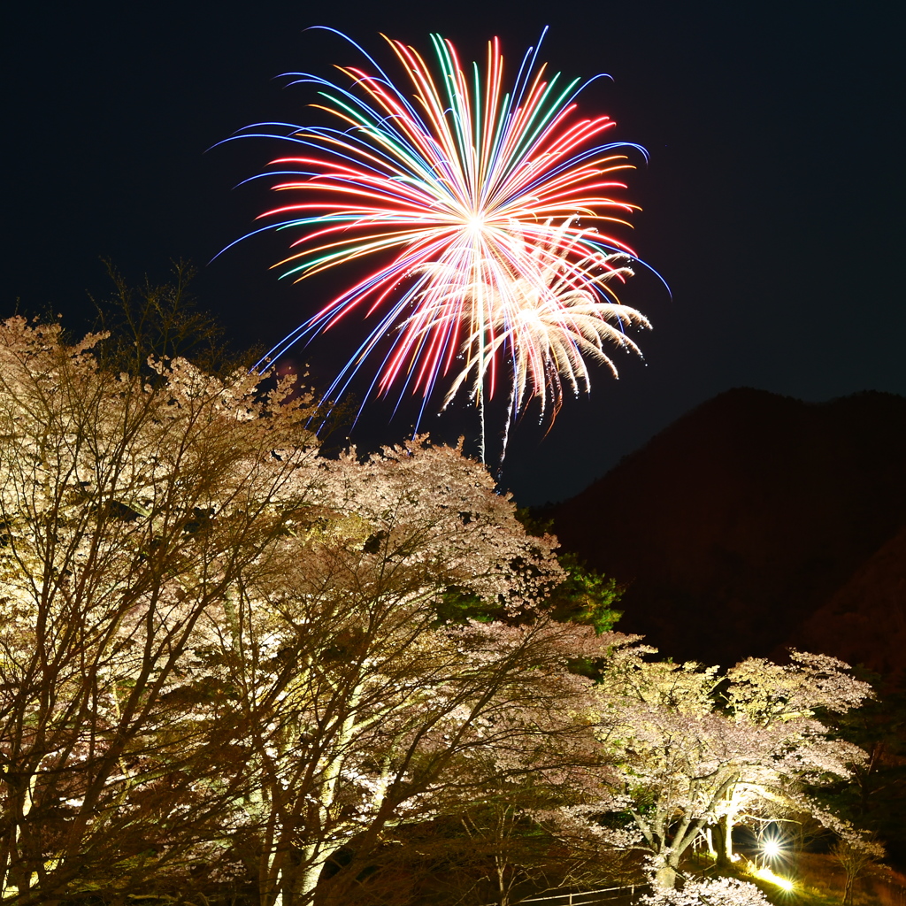 春花火