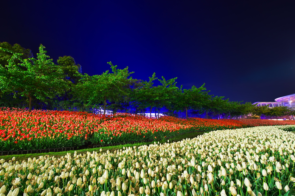 Illumination blue