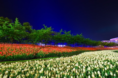 Illumination blue