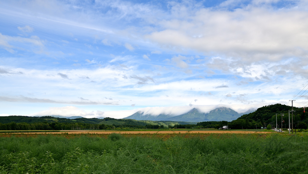 喧騒の空