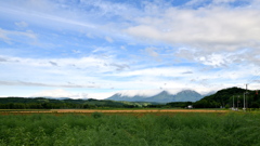 喧騒の空