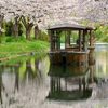 Mooring
