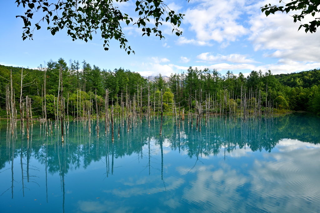Blue Pond