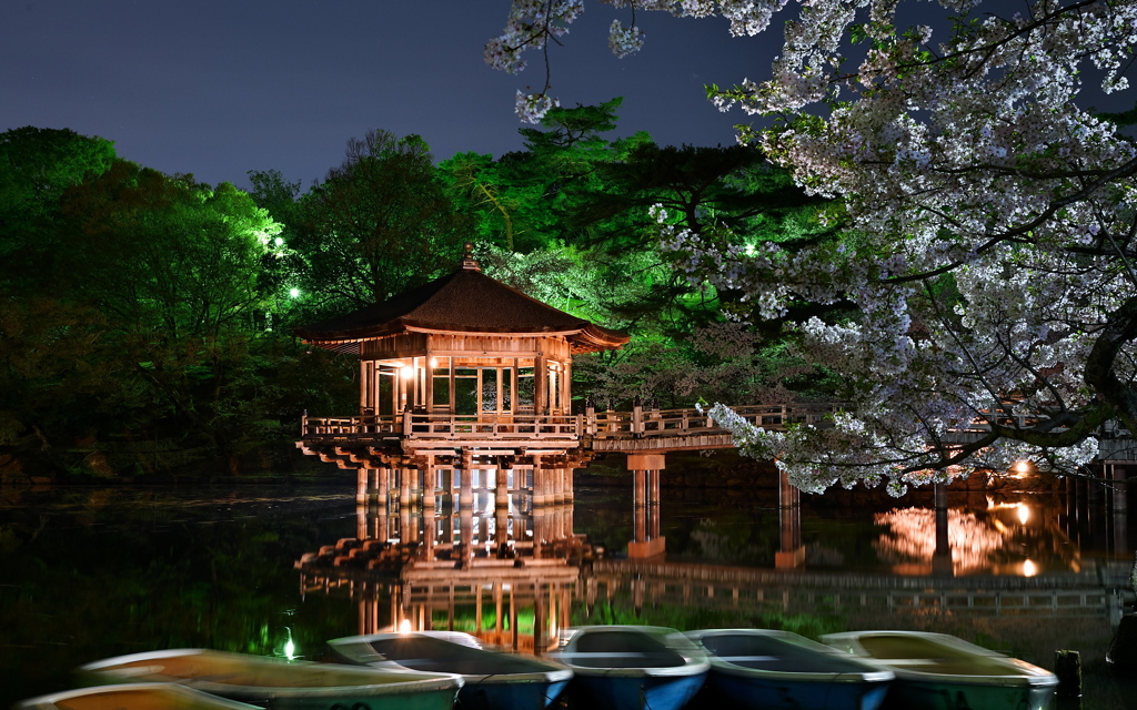 桜と浮御堂