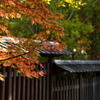 社の紅葉