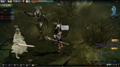 フリーズ塩さん