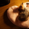 老後のひととき