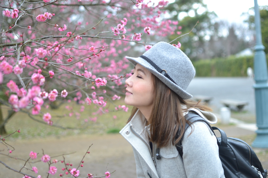 梅の香り　京都御所