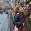 日本まで、桜の香りを