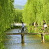 白川・一本橋・・姉弟・・母が見守って・・