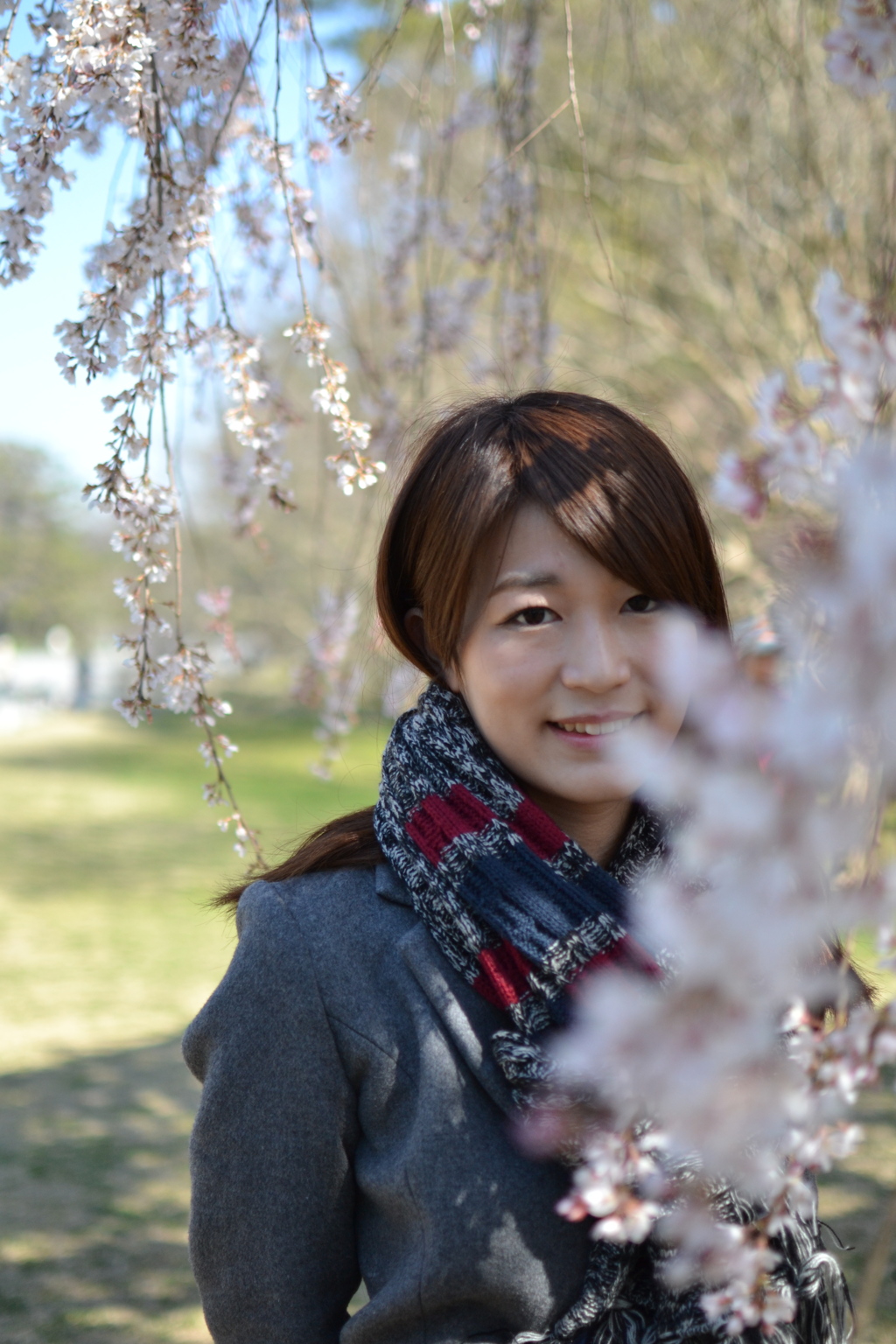 桜をかざして