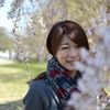 桜をかざして