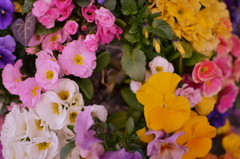 花カラフル