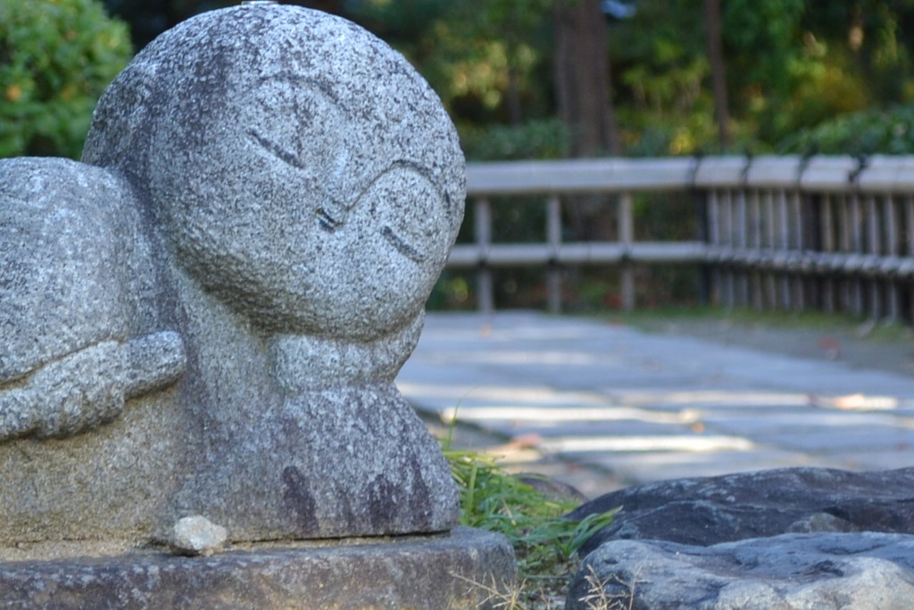 妙心寺　智勝院　おこしやす・・寝ころんですみません・・・