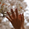 ピンクのネールで桜を包んで・・