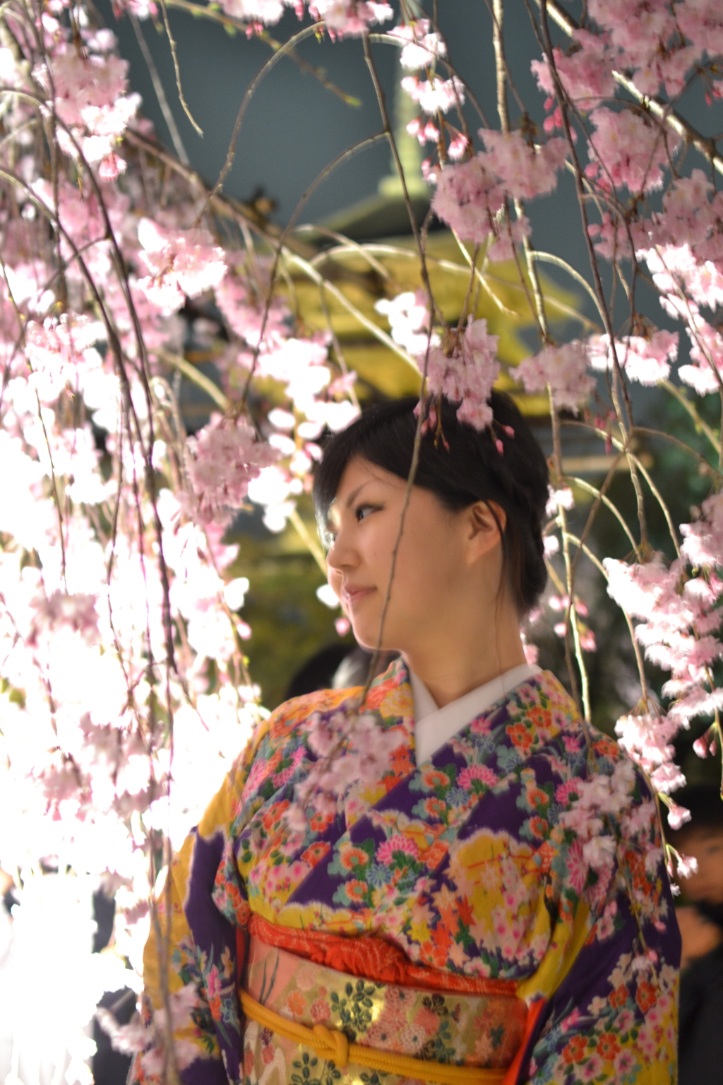 桜に紛れて
