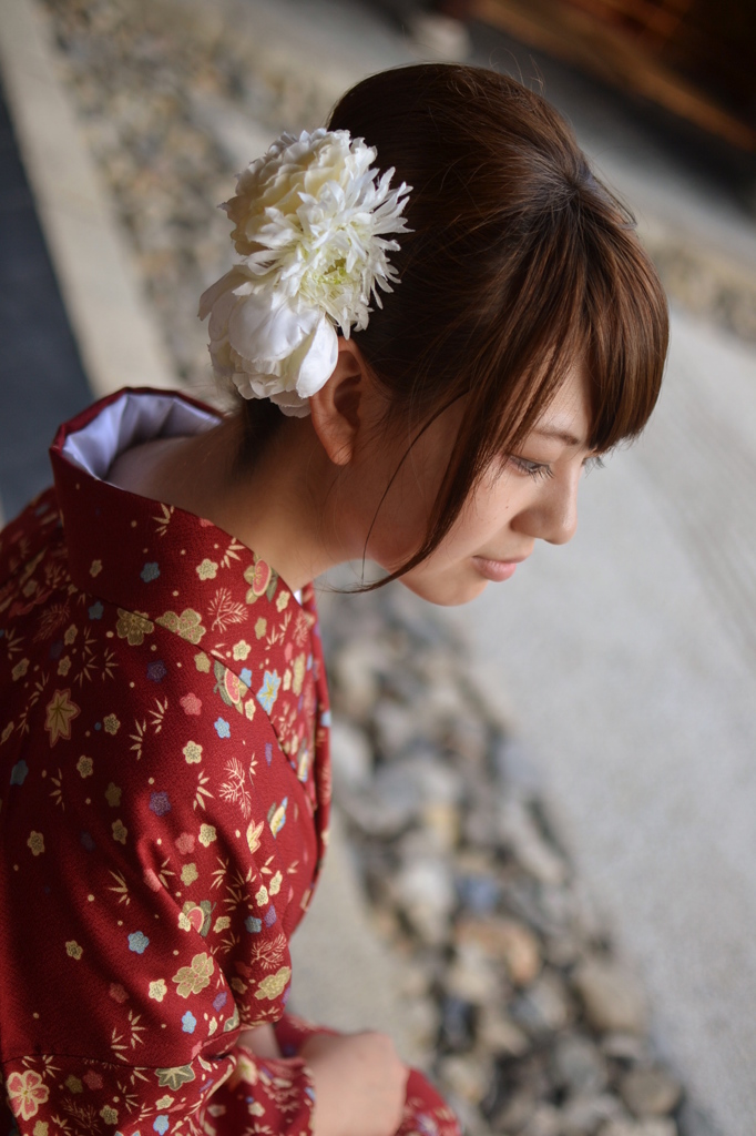 禅庭で美しく佇み